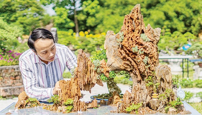 Hữu Duy với niềm đam mê bonsai, tiểu cảnh nên quyết học kiến trúc để tạo dựng sự nghiệp.
