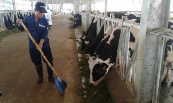 Lâm Đồng phát triển thêm 10 chuỗi giá trị gắn sản xuất với tiêu thụ sản phẩm