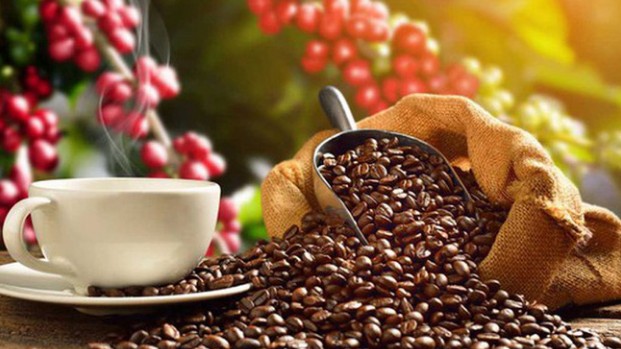 Xuất khẩu cà phê 5 tháng giảm lượng, tăng kim ngạch