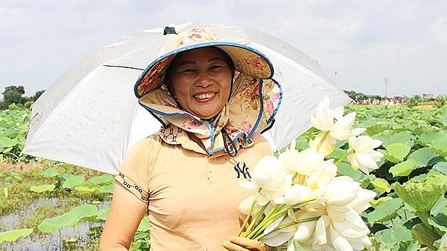 Chị Hiên đã kỳ công biến cánh đồng hoang thành đầm sen quan âm rộng 2 ha.