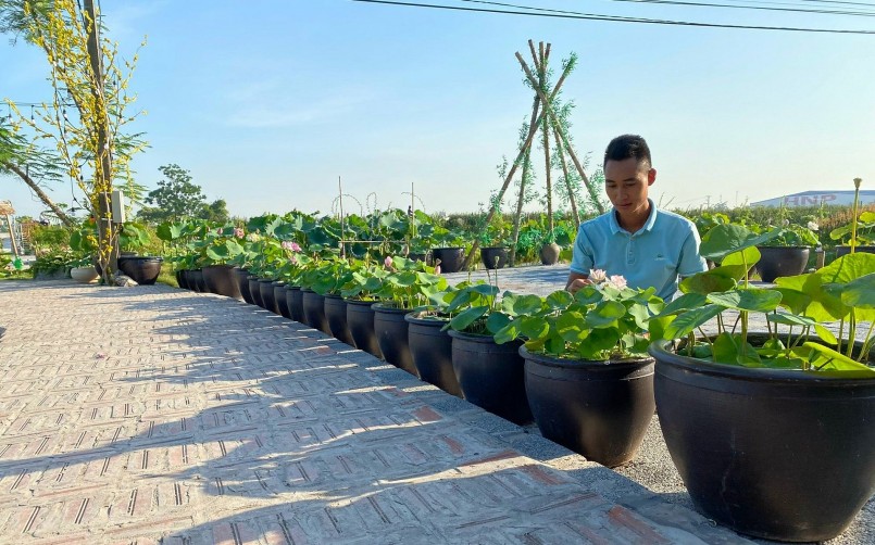 6 năm dồn mọi tâm huyết với hoa sen, anh Toàn đã có những giờ phút thư thái và tự hào với thành quả đạt được.