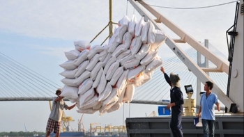 Việt Nam tiếp tục là nhà cung cấp gạo lớn nhất của Philippines
