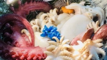 Xuất khẩu mực, bạch tuộc sang Nhật Bản có tín hiệu tích cực