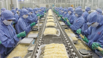 Xuất khẩu thủy sản đang dần phục hồi