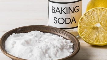 Không cần tốn tiền mua phân bón, sử dụng 5 nguyên liệu tự nhiên này, cây nào cũng “thích” mê