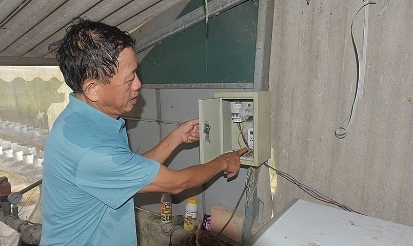 Hệ thống tưới của nhà màng được điều khiển tự động.