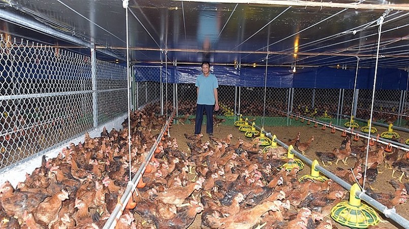 Hiện nay, thu nhập của gia đình ông Hùng đạt hơn 1,6 tỷ đồng mỗi năm.