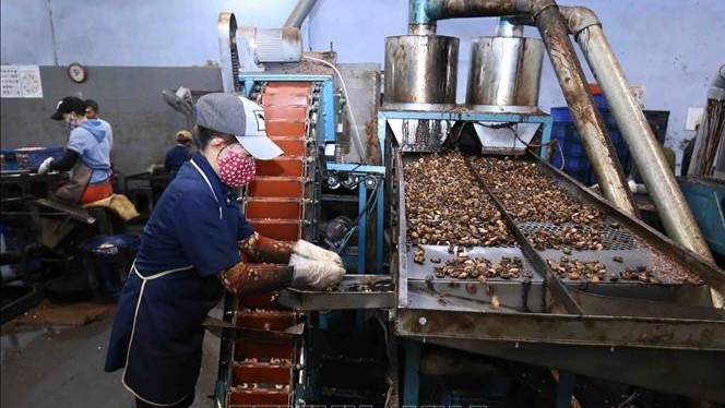 Xuất khẩu hạt điều tăng nhẹ