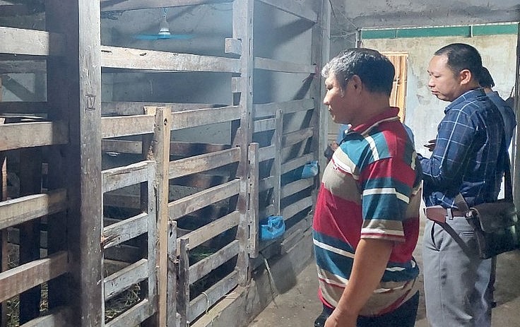 Trại chăn nuôi hươu của gia đình anh Trần Quang Huấn ở thôn Hùng Nghĩa, xã Diễn Hùng.