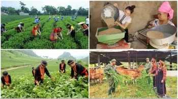 Thay đổi phân bổ vốn ngân sách thực hiện Chương trình mục tiêu quốc gia phát triển KTXH vùng đồng bào thiểu số và miền núi