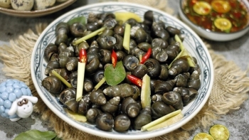 Thực phẩm giàu canxi hơn tôm, cá nhưng chế biến không hợp lý dễ gây hại cho sức khỏe