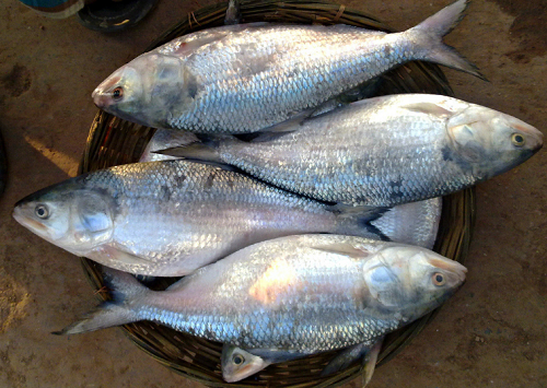 10 đặc sản Vĩnh Long cực dân dã, có món xưa đầy không ai ăn, giờ cực hiếm có khó tìm