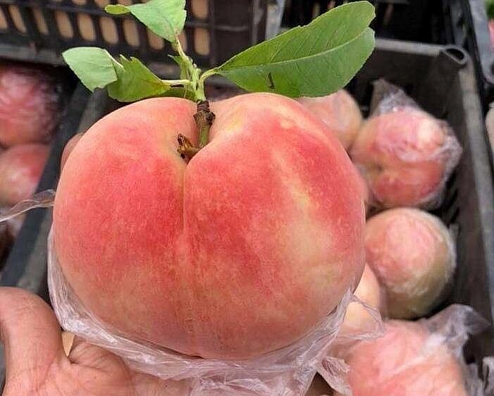 Một quả đào tiên có giá từ 55.000-70.000 đồng vẫn nhiều khách mua