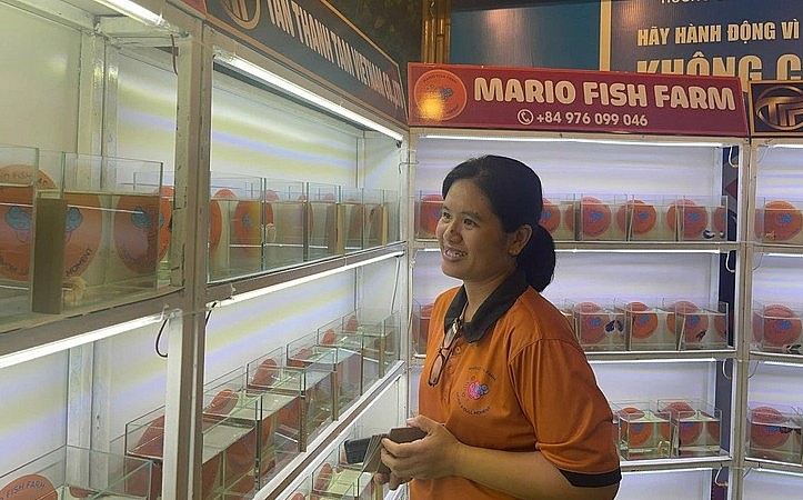 Gian hàng trưng bày cá cảnh, một sản phẩm đạt chuẩn OCOP - Ảnh: THẢO THƯƠNG