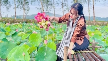 Kỹ sư điện tử rời thủ đô về quê trồng sen đúng dịp covid, ai ngờ giờ thu trăm triệu mỗi vụ