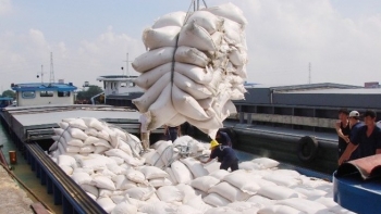 Tăng cường các giải pháp thúc đẩy sản xuất, xuất khẩu gạo