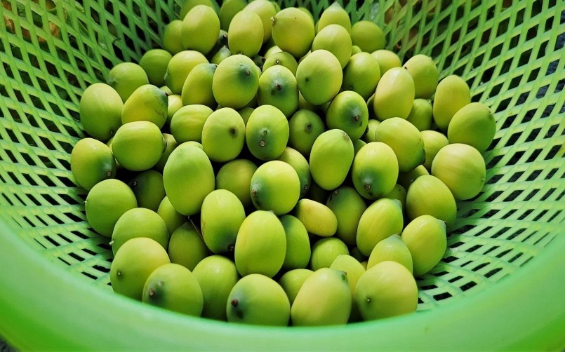 Năm nay sen được mùa, giá hạt lại ổn định nên bà con rất phấn khởi. 