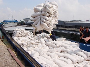 Tăng cường các giải pháp thúc đẩy sản xuất, xuất khẩu gạo