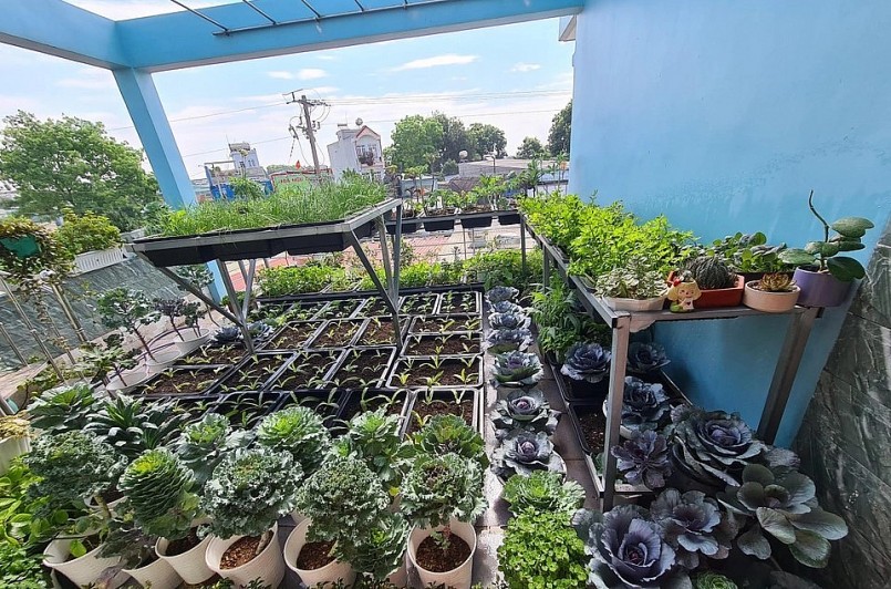 Trong vườn được lắp đặt hệ thống 160 khay thông minh, hơn 50 chậu to, nhỏ, giỏ treo khác nhau...