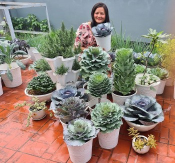 Bí quyết trồng vườn rau xanh ngát đều tăm tắp trên sân thượng ở nơi nắng nóng quanh năm