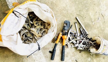 Báo động tình trạng trộm tổ yến, giăng lưới bắt yến, người nuôi lao đao vì "yến tặc "