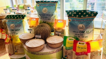 Rau quả và gạo là điểm sáng trong bức tranh xuất khẩu