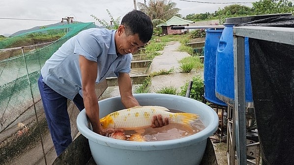Anh Vũ Văn Tăng được mệnh danh là tỷ phú cá Koi ở Hải Phòng.