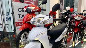 Honda Wave Alpha 2023: Mẫu xe đẹp, giá "mềm" dành cho tân sinh viên