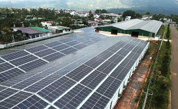 Lâm Đồng yêu cầu tạm dừng mua điện mặt trời của doanh nghiệp chưa thực hiện đầy đủ các quy định