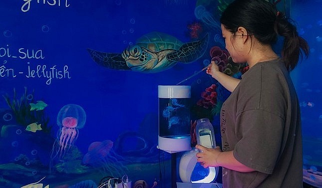 Để sứa có sức khỏe tốt, hồ chuyên dụng phải gắn thiết bị lọc nước, thổi lùa dòng chảy cho sứa.