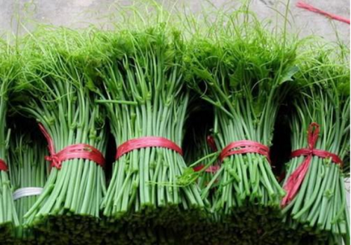 Mê mẩn 10 đặc sản chỉ có ở Vĩnh Phúc cực nổi tiếng, có món không phải ai cũng dám ăn