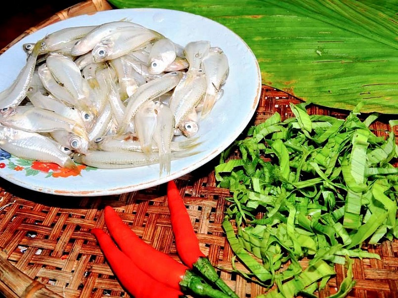 Cá sơn dùng để chế biến mắm