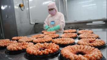 Xuất khẩu tôm sang Mỹ đang có tín hiệu tốt