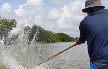 Loài cá tên như hù dọa, đi săn nơi cửa sông người dân thu tiền triệu mỗi ngày