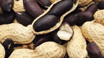 Nhân lạc đen sì như bị cháy nắng có gì đặc biệt mà giá cao vẫn được săn lùng