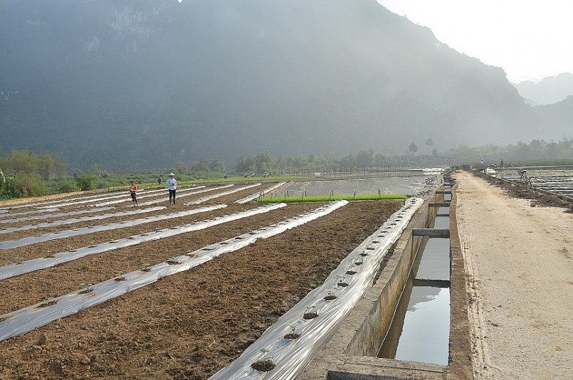 Hòa Bình phòng chống sạt lở trong mùa mưa lũ, bảo vệ hoa màu