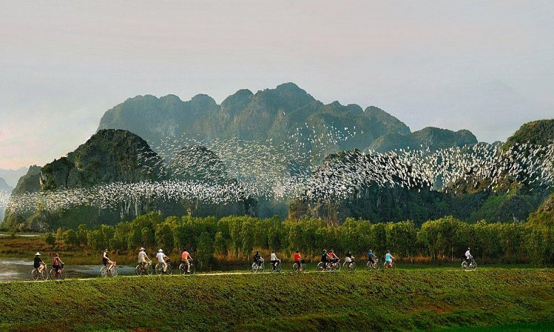 Kinh nghiệm du lịch Vườn chim Thung Nham Ninh Bình chi tiết nhất 