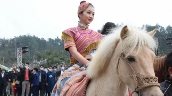 Nuôi ngựa thương phẩm thu lãi trăm triệu còn tạo sức hút du khách đến Na Lo