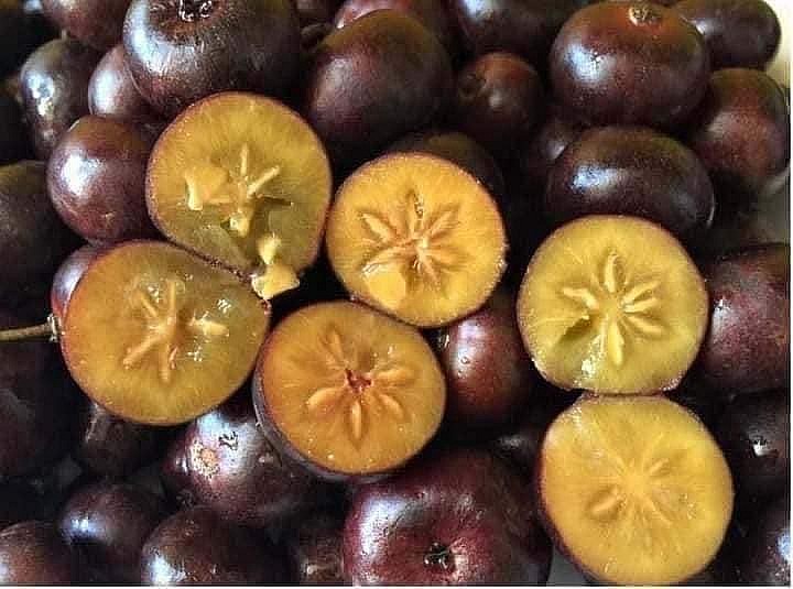 Mận quân có giá 80.000- 100.000 đồng/kg