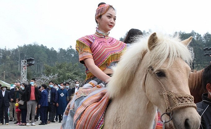 Hiện nay, ngựa Bắc Hà ngoài mục đích nuôi thương phẩm, còn có thể kết hợp khai thác hoạt động du lịch.