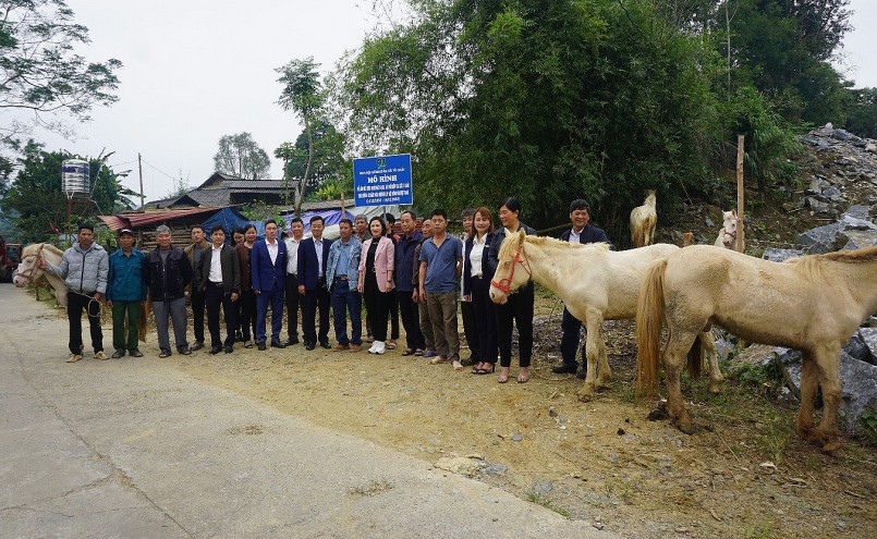 Lễ ra mắt mô hình tổ liên kết và chăn nuôi ngựa bạch và chế biến cao xã Tà Chải.