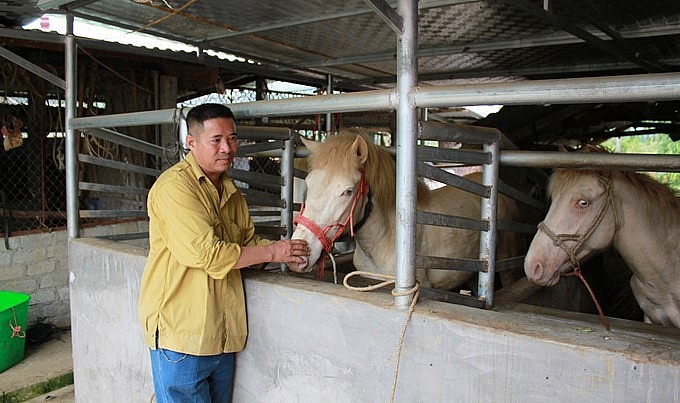 Ông An tiên phong nuôi thương phẩm mang tính hàng hóa và đã bước đầu khẳng định hiệu quả cao. 