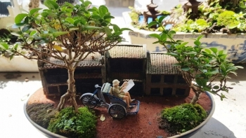 Người sở hữu bộ sưu tập bonsai mini lớn nhất thế giới và thông điệp bảo vệ thiên nhiên