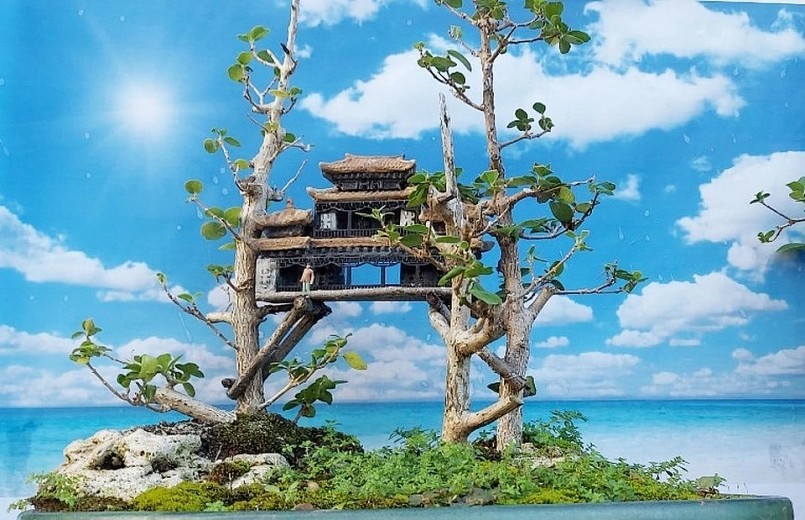 Tác phẩm bon sai kết hợp ý tưởng nhà trên trên cây.