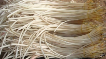 Loại “rau” trắng muốt, giòn sần sật vào mùa, đừng chỉ ăn xào, đem làm nộm kiểu này ăn cực cuốn