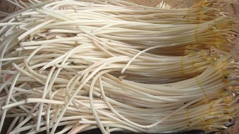 Loại “rau” trắng muốt, giòn sần sật vào mùa, đừng chỉ ăn xào, đem làm nộm kiểu này ăn cực cuốn