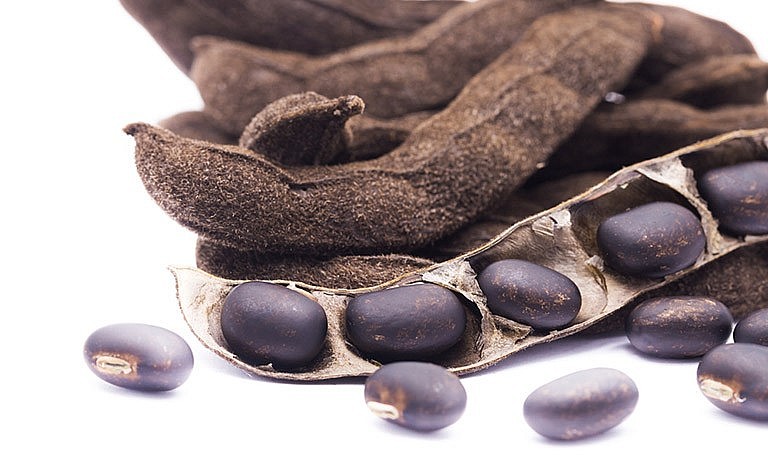 Đậu mèo là vị thuốc quý và được nhân dân miền núi sử dụng trong nhiều bài thuốc trị bệnh