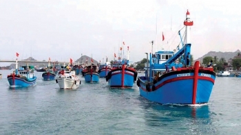 Khẩn trương củng cố hồ sơ, truy tố các đối tượng vi phạm IUU