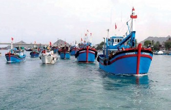 Khẩn trương củng cố hồ sơ, truy tố các đối tượng vi phạm IUU