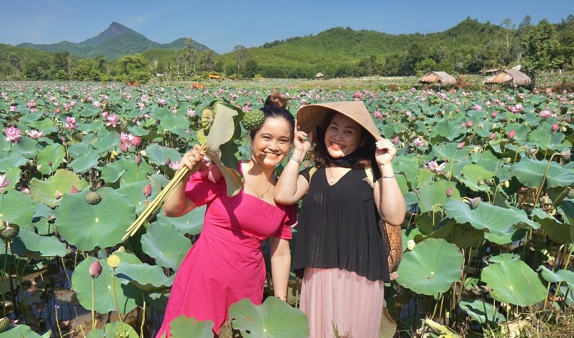 Những đầm sen được cải tạo từ ruộng trũng thấp vừa tạo cảnh quan đẹp vuwag cho thu nhập cao.